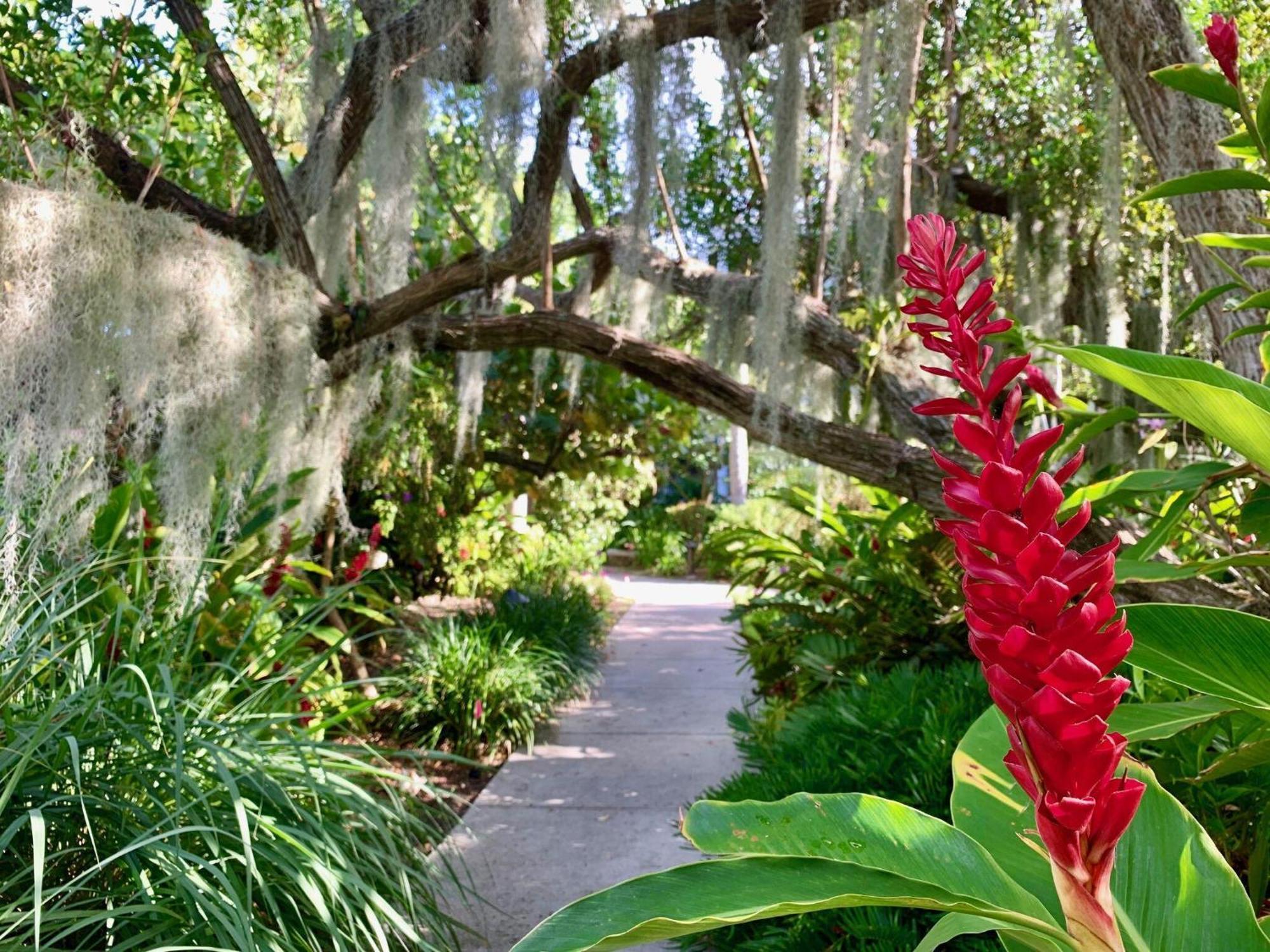 Beautifully Renovated Summer Of 2020 Come And Enjoy This Lovely Unit Key West Exteriér fotografie